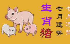 07年七月出生的猪运势,福禄双全，事业顺利，感情甜蜜