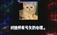 吃瓜娱乐1,揭秘娱乐圈幕后故事，带你领略明星真实生活