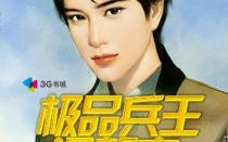极品兵王在都市,极品兵王的风云际遇