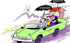 出行保险,全面解析旅游保险种类与选购攻略