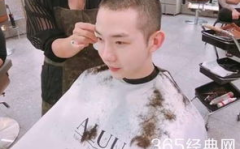 赵权赵权小说,权谋天下，风云际会