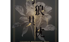 与狼共枕小说,虐恋情深，禁忌之恋的救赎之旅