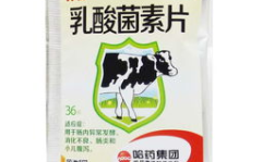 乳酸菌素片的作用和功效