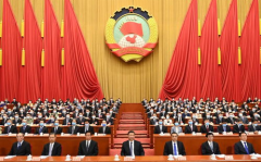 政协开幕式,政协开幕式盛况空前