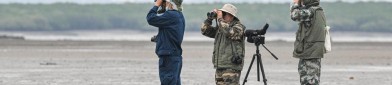女仆犯错被主人罚跪的后果爆料吃瓜网