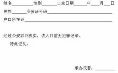 无犯罪证明怎么在网上申请,便捷流程与注意事项解析