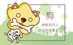 属狗的和什么属相最配,揭秘与哪个属相最匹配