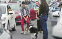 娱乐吃瓜酱遛狗小说下载,小说世界里的欢乐与温情