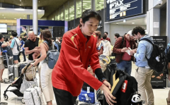 A股指数再度走弱创业板指、深成指均跌逾1%近4400股下跌！恒生科技指数跌1%港股内银股逆势上涨工行涨2%，逐日农经]上餐桌的狐狸肉(20091127)-狐狸肉假充熟驴肉囚禁“枪口”抬得太高-