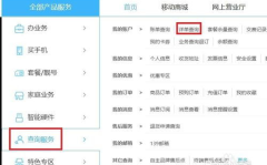 山东移动网上营业厅详单查询,详尽解析您的通信消费情况