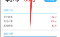 取名字测分,揭秘取名背后的奥秘