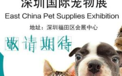 深圳宠物网,福田区及周边热门宠物店推荐”